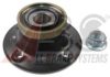 RENAU 7701204666 Wheel Hub